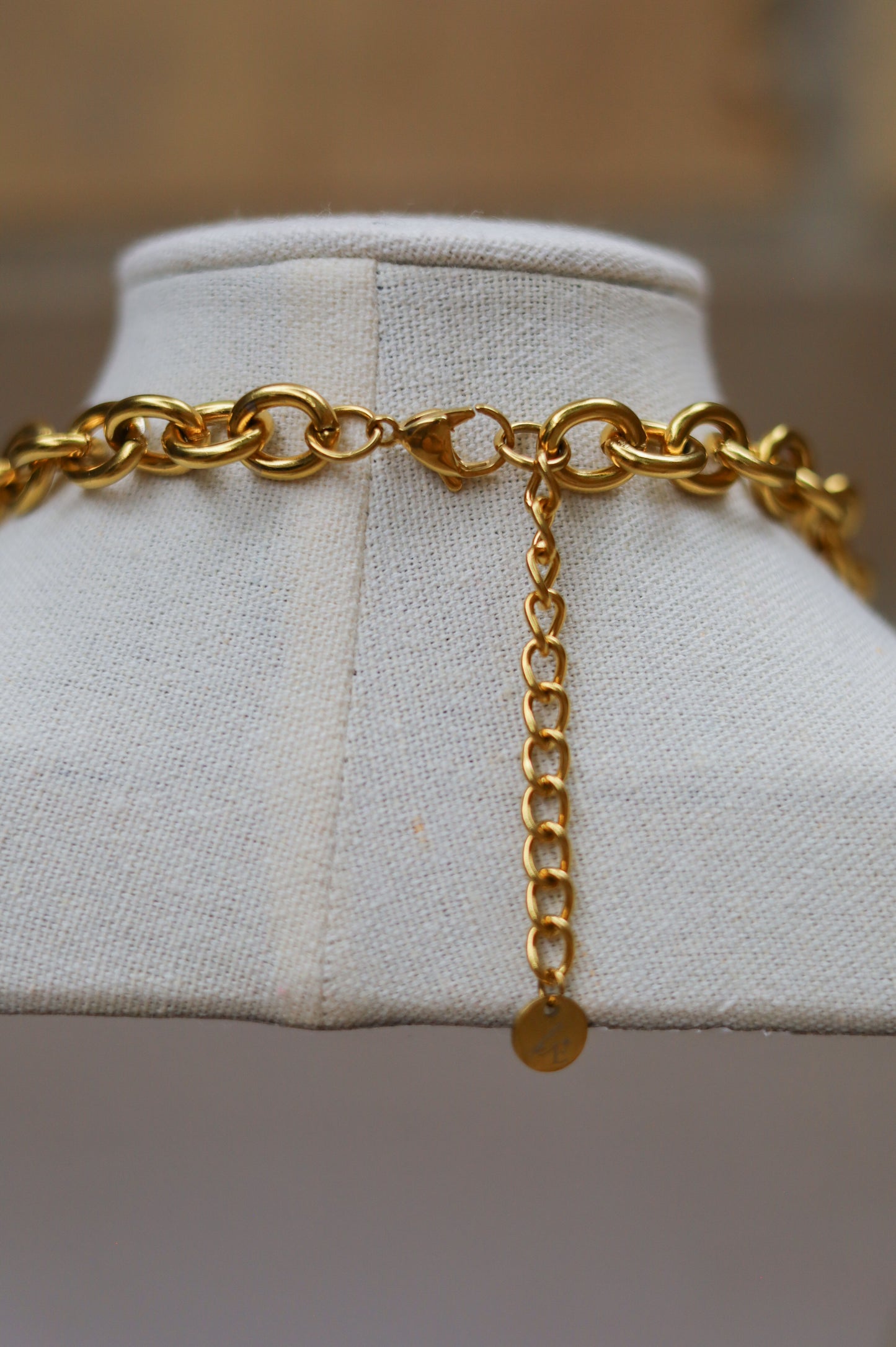 Vintage Scarlet Lariat Coin Necklace