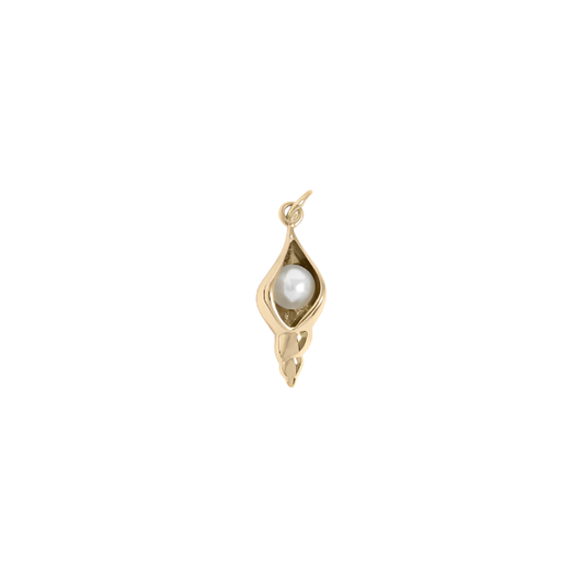 Shell with Pearl
